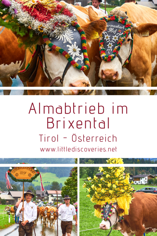 Almabtrieb im Brixental (Tirol / Österreich)