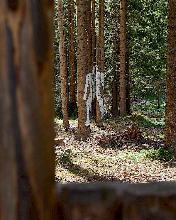 Der versteckte Riese - Das Riesenreich auf dem Familienberg Haunold in Innichen (Südtirol)