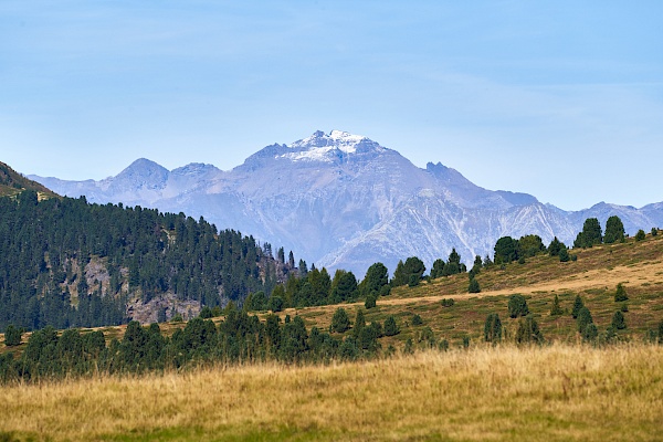 Wanderung am Würzjoch