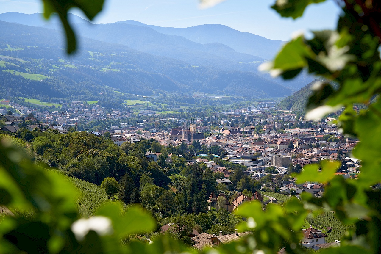 Wanderung in den Weinbergen von Brixen