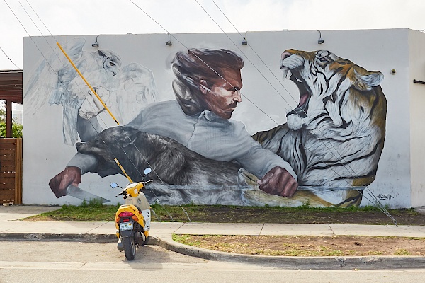 Street Art in Miami (USA) bei den Wynwood Walls