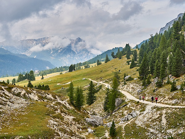 Auf dem Weg zum Gipfel des Strudelkopfs (Südtirol)