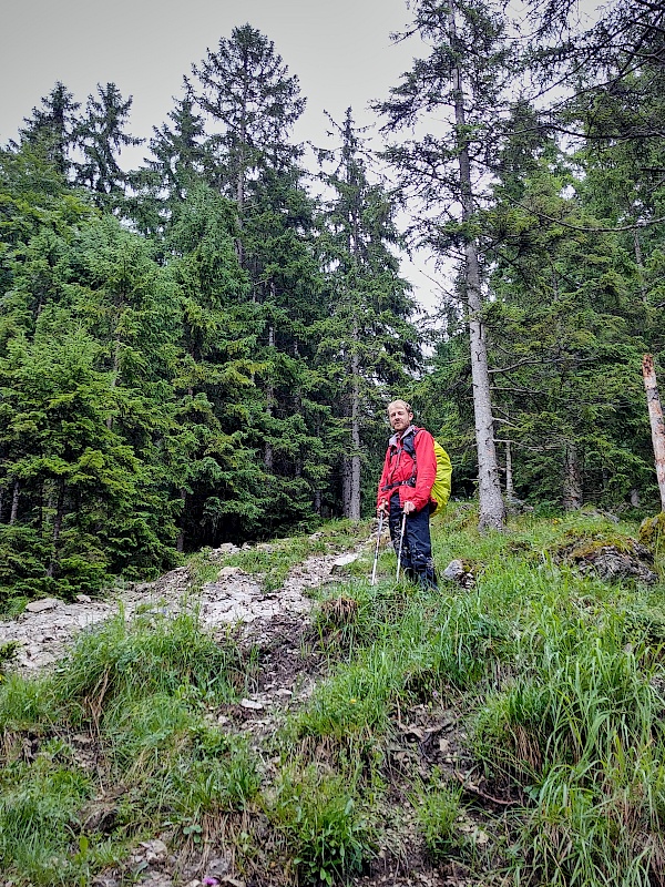 Ein steiler erster Anstieg durch den Wald zum Schrecksee