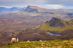 p5051724-quiraing-schottland-littlediscoveries_net.jpg