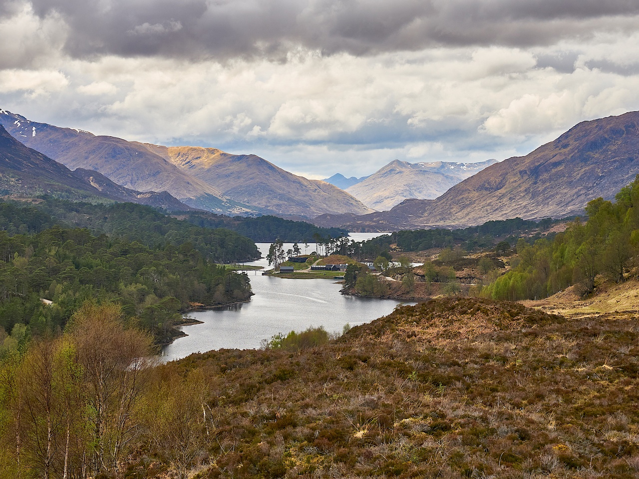 Aussicht auf Loch Affric (Schottland)