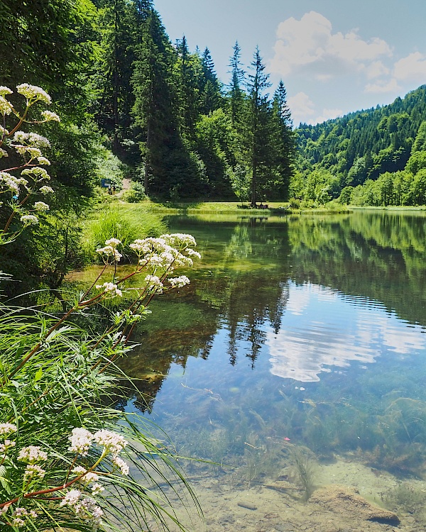 Wiesensee im PillerseeTal