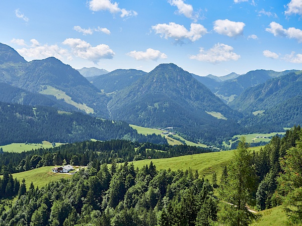 Aussicht auf dem Weg zum Jakobskreuz im Pillerseetal