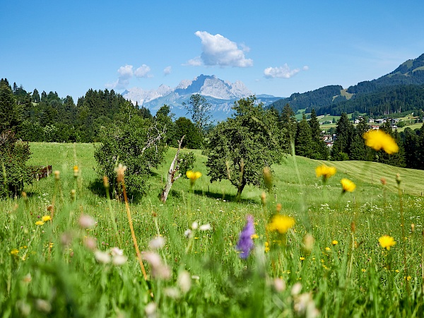 Lauchsee im PillerseeTal