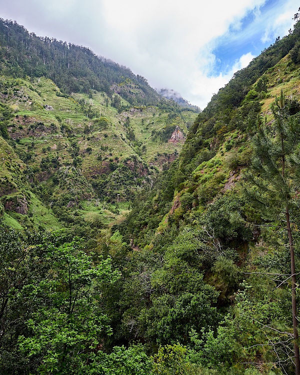 Aussicht von der Levada do Moinho auf Madeira