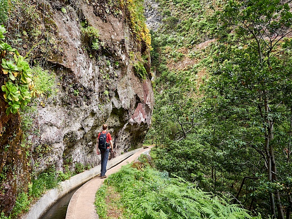 Wanderung auf der Levada Nova auf Madeira