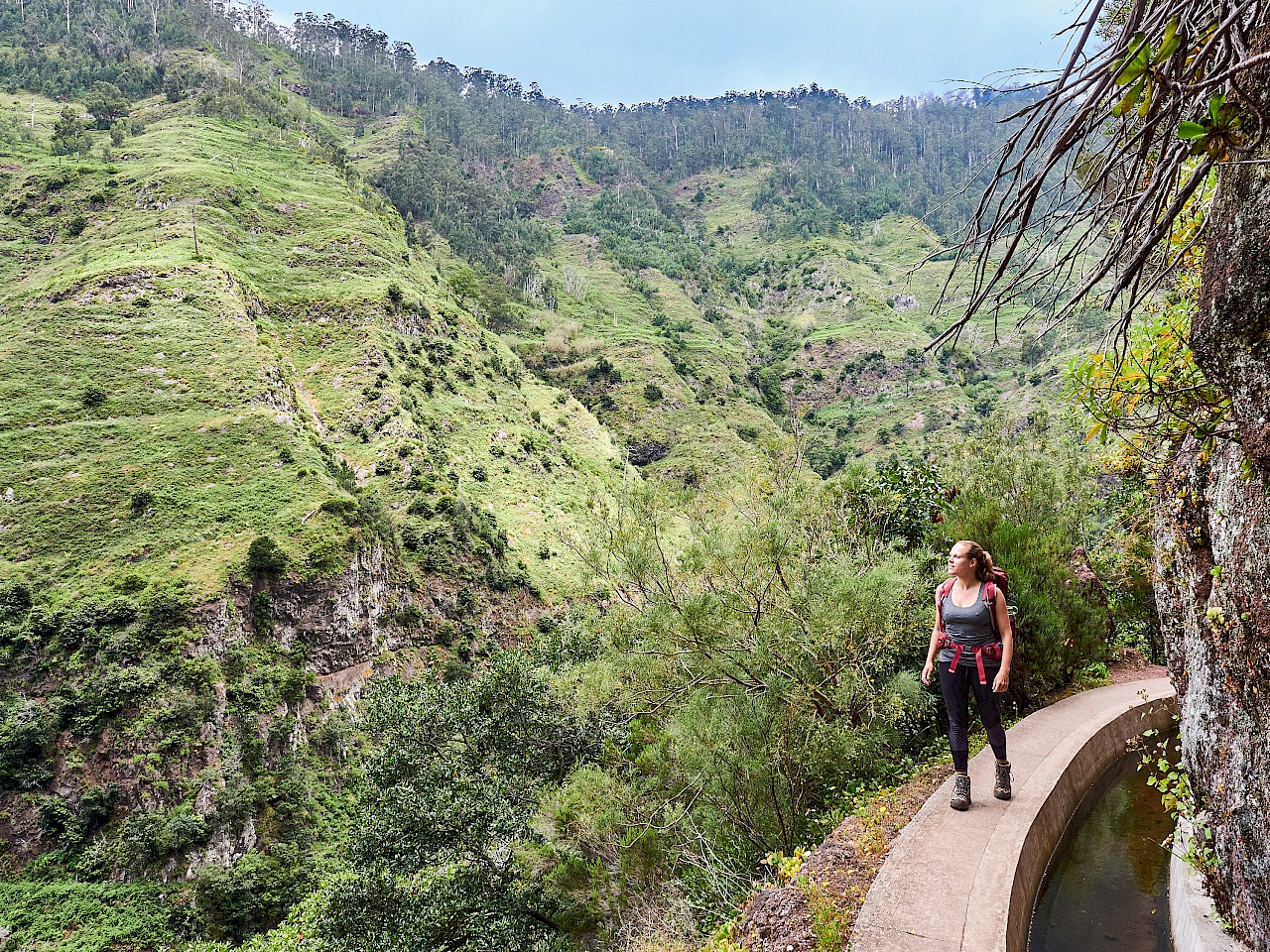 Wanderung auf der Levada Nova auf Madeira