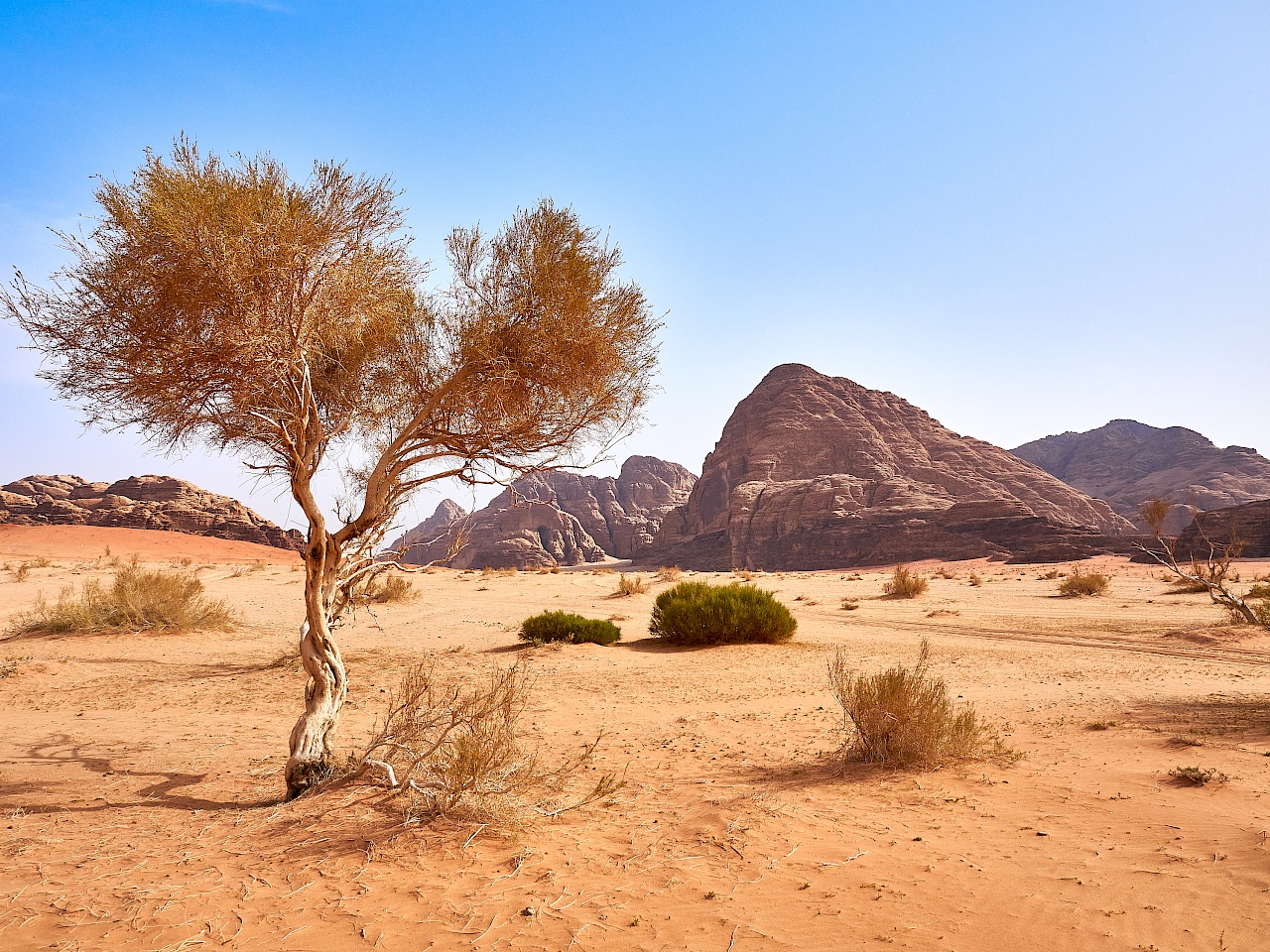 Wadi Rum in Jordanien