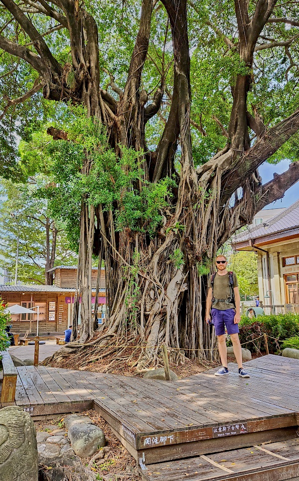 Natural Ways Six Arts Cultural Center in Taichung