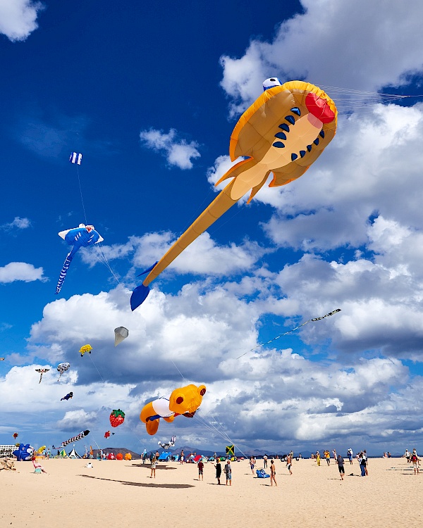 Das Internationale Drachenfestival auf Fuerteventura