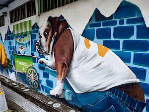 Weiwuying Street Art Village in Kaohsiung (Taiwan)