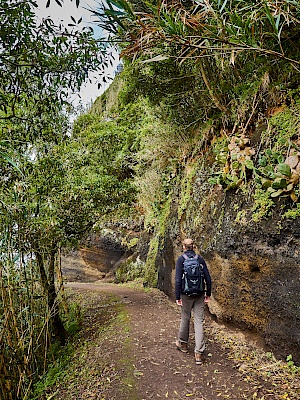 Wanderung zur Rocha da Relva auf São Miguel (Azoren)
