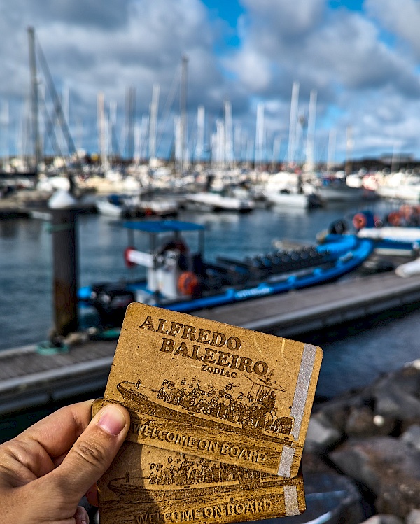 Whalewatchig auf São Miguel (Azoren)